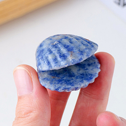 (306FM) Жонкиль матовый с лаймовой подкладкой Природные синие пятна украшения яшмы, для домашнего офисного стола, формы раковины, 30~35 мм