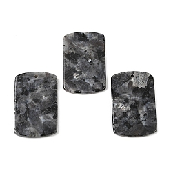Larvikite Подвески из натурального ларвикита, прямоугольник амулеты, 40x25x3.5 мм, отверстие : 1.6 мм