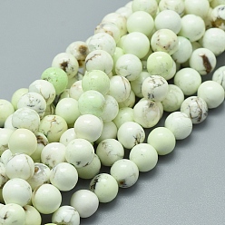 Австралийская Бирюза Бусы натуральная австралийская бирюза (яшма), круглые, класс А, 8 мм, отверстие : 0.8 мм, около 52 шт / нитка, 15.75 дюйм (40 см)