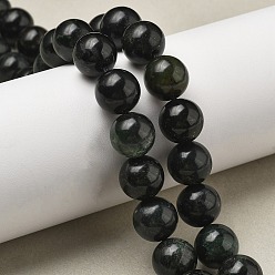 Black Jade Нити бусин из натурального черного нефрита, круглые, 12 мм, отверстие : 1.2 мм, около 39 шт / нитка, 15.47 дюйм (39.3 см)