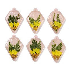 Rhombus Эпоксидная смола подвески, без кадмия и без свинца, со цветком внутри , ромб, 32x22x3.5 мм, отверстие : 1.8 мм