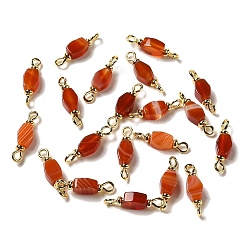 Red Agate Natural Red Agate Connector Charms, Hexagon Links with Golden Brass Loops, 18.5~19x5x3~3.5mm, Hole: 1.6mm