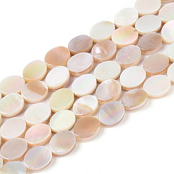Морская Ракушка Гальванизированные натуральные пресноводные ракушки, Плоско-овальные, AB цвет, цвет морской раковины, 7~8.5x5.5~6.5x2~3.5 мм, отверстие : 0.7 мм, около 47 шт / нитка, 14.96~15.16 дюйм (38~38.5 см)