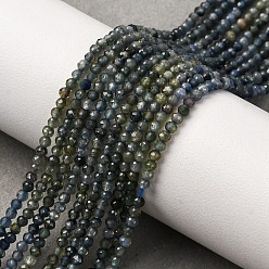 Сапфир Нити из натуральных сапфировых бусин градиентного цвета, граненые, круглые, 2 мм, отверстие : 0.5 мм, около 206~210 шт / нитка, 15.08~15.39'' (38.3~39.1 см)