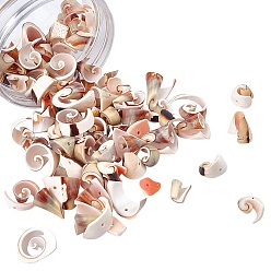 Бледно-Золотистый Натуральные бусины из ракушек, бледно золотарник, 10~13x13~16 мм, отверстия: 2 мм, около 100 шт / коробка