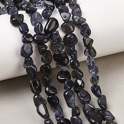 Айолит Нити из натурального иолита / кордиерита / дихроита, самородки, 4~10x4~8x4~8 мм, отверстие : 0.8 мм, около 55~59 шт / нитка, 15.43~15.75'' (39.2~40 см)