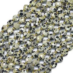 Далматинских Джаспер Природные яшмы далматин бисер нитей, с бисером, граненые, плоско-круглые, 6~7x4 мм, отверстие : 1 мм, около 50 шт / нитка, 15.35'' (39 см)