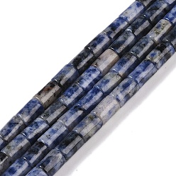 Blue Spot Jasper Natural Blue Spot Jasper Beads Strands, Column, 7.5~8.5x5~6mm, Hole: 1mm, about 45~46pcs/strand, 14.69~15.04 inch(37.3~38.2cm)