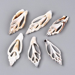 Морская Ракушка Естественно оболочки большие кулоны, подвески из кусочков ракушек, цвет морской раковины, 48~55x17~21x5~8 мм, отверстие : 4~5x14~17 мм