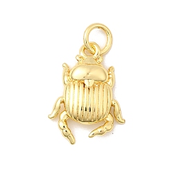 Insects Латунные подвески, долговечный, без свинца и без кадмия, стойки покрытие, с целью перехода в кольце, реальный 18 k позолоченный, насекомые, 16x11.5x3 мм, отверстие : 4 мм
