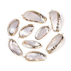 Морская Ракушка Подвески из натуральных морских ракушек, покрытые методом гальванического покрытия, подвески в форме ракушек, с медными петлями, золотые, цвет морской раковины, 43.5~58x20~26x7~10 мм, отверстие : 1.8~2 мм