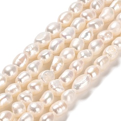 Linen Natural Cultured Freshwater Pearl Beads Strands, Two Sides Polished, Grade 4A, Linen, 6~12x5~6mm, Hole: 0.5mm, about 49~50pcs/strand, 13.78~14.02 inch(35~35.6cm)