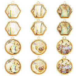 Раковина 12 шт. 2 стили плоские круглые шестиугольные подвески из натуральной ракушки пауа, с фурнитурой позолоченной латунной, 15~16.5x13.5~14x4~5.5 мм, отверстие : 1.5 мм, 6 шт / стиль