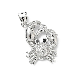 Краб Латунные микро проложить кубического циркония подвески, платина, краб, 20x15x3.5 мм, отверстие : 4.5x3.5 мм