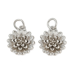 Платина Латунь прелести, цветок, с целью перехода в кольце, без кадмия и без свинца, стойки покрытие, долговечный, платина, 13.5x11.5x3.8 мм, отверстие : 3.4 мм