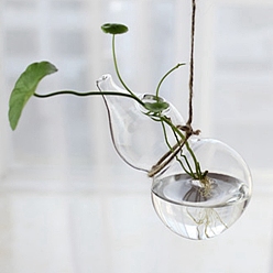 Другие Подвесные стеклянные горшки для растений, Прозрачная гидропонная стеклянная ваза для украшения дома в саду, Горлянка, 120x70 мм
