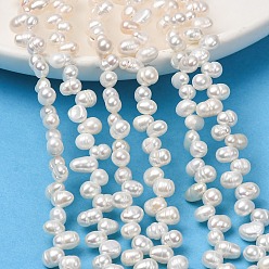 Old Lace Natural Cultured Freshwater Pearl Beads Strands, Top Drilled, Rice, Grade 3A, Old Lace, 4~5mm, Hole: 0.5mm, about 82~97pcs/strand, 14.17''(36cm)