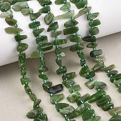 Другие Джасперы Естественной яшмы бисер нитей, чип, Топ пробуренной, с бисером, 9~28x5~11x3~7 мм, отверстие : 1 мм, около 46~59 шт / нитка, 15.16~15.55'' (38.5~39.5 см)