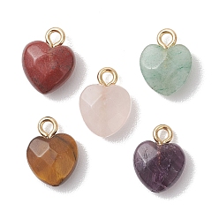 Смешанные камни Натуральные подвески в форме сердца из тигрового глаза, красной радужной яшмы, зеленого авантюрина, розового кварца и аметиста., с 304 петлями из нержавеющей стали, золотые, 13.5~14x10.5x5~5.5 мм, отверстие : 2 мм