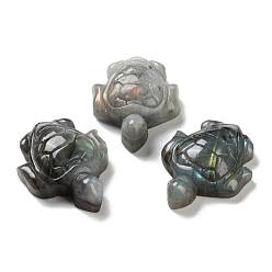 Tortoise Природные кабошон лабрадора, черепаха, 48x36~37.5x13.5~15 мм