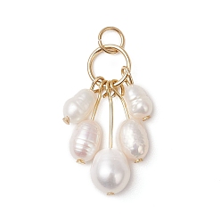 Морская Ракушка Подвески из натурального культивированного пресноводного жемчуга с бусинами из риса, слезинки, с 304 штифтами с плоской головкой из нержавеющей стали, золотые, цвет морской раковины, 27 мм, Перейти кольцо: 5x1 мм, внутренний диаметр: 3.5 мм