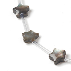 черная губная раковина Натуральный черный губы бусы оболочки, звезда, 8x8.5x4 мм, отверстие : 0.7~0.8 мм, около 20 шт / нитка, 13.58~13.78'' (34.5~35 см)