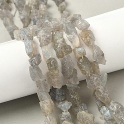 Лабрадорита Необработанные необработанные натуральные лабрадоритные бусины, самородки, 6~24x7~16x4~10 мм, отверстие : 1 мм, около 25~38 шт / нитка, 15.35~15.94'' (39~40.5 см)