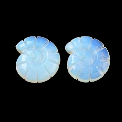 Опал Украшения для демонстрации раковин из опалита, фигурка для украшения дома, энергетический камень рейки для исцеления, 26x23.5~24.5x9 мм