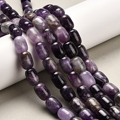 Аметист Природный аметист нитей бисера, колонка, 14~15x10~11 мм, отверстие : 1.2 мм, около 27 шт / нитка, 15.75'' (40 см)