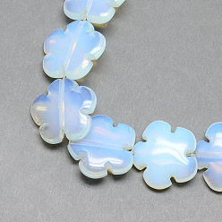 Opalite Brins de perles opalite, fleur, 19~20x20~21x5~6mm, Trou: 1.5mm, Environ 20 pcs/chapelet, 15.75 pouce