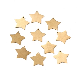 Золотой Ионное покрытие (ip) 304 подвески из нержавеющей стали, двухсторонний подъемный стол, пустая бирка с матовой отделкой, звезда, золотые, 19.5x20x1 мм, отверстие : 1.2 мм