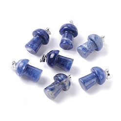 Содалитовое Природные подвески содалитом, с латунной фурнитурой платинового цвета, гриб, 22~24x14~15 мм, отверстие : 2.4 мм