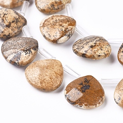 Picture Jasper Natural Picture Jasper Beads Strands, Top Drilled Beads, Faceted, Teardrop, 13x13x5mm, Hole: 0.6mm, about 30pcs/strand, 13.98 inch(35.5cm)