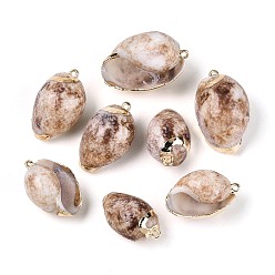 Светло-коричневый Гальванические подвески из натуральных ракушек, Подвески в виде раковин с петлями из железа золотистого оттенка., загар, 26~35x15.5~21.5x13~18 мм, отверстие : 1.6~1.7 мм