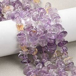 Аметрин Природные Аметрин бисер нитей, чип, 8~15x6~11x2~7 мм, отверстие : 0.9~1 мм, 15.75'' (40 см)