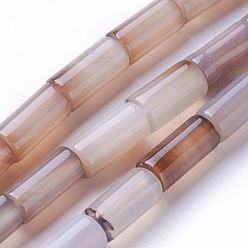 Античный Белый Природные крашеные шарики агата стренг, колонка, старинный белый, 15~16x7~8 мм, отверстие : 1.2 мм, около 25 шт / нитка, 15.3 дюйм (39 см)