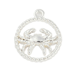 Рак Подвески из сплава «двенадцать созвездий», рак, 22.5x19x2.5 мм, отверстие : 1.8 мм