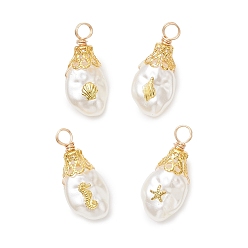 Mixed Shapes Подвески из АБС-пластика с имитацией жемчуга в виде морских организмов, с медной проволокой и железом, разнообразные, 24.5~26x11.5x8 мм, отверстие : 3.3~3.8 мм