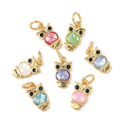 (52) Непрозрачная лаванда Подвески из латуни и ракушек с покрытием стойки, сова прелести, с эмалью, долговечный, без кадмия и без свинца, с целью перехода в кольце, реальный 18 k позолоченный, разноцветные, 12x7x2 мм, отверстие : 3.4 мм