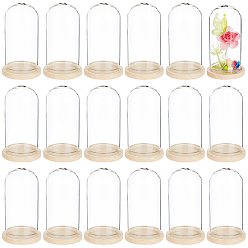 Прозрачный 30 шт. купольная крышка из арочного стекла, декоративная витрина, террариум в виде колокольчика, с 30настройками для деревянных подносов, прозрачные, 3x6.05 см