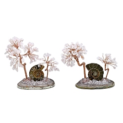 Розовый Кварц Украшения для витрин из натурального розового кварца пахира глабра, с окаменелой ракушкой, агатовой основой и медной проволокой, фен-шуй энергетический камень подарок для домашнего офиса украшение рабочего стола, 120~130x58~59x80~95 мм