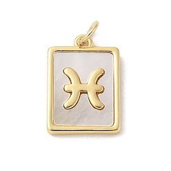 Рыбы Подвески из латуни с натуральными белыми ракушками, подвески-созвездия с соединительными кольцами, реальный 18 k позолоченный, долговечный, без свинца и без кадмия, стойки покрытие, Рыбы, 17x12x2 мм, отверстие : 3 мм