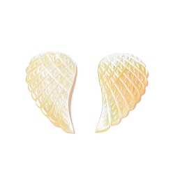 Желтые Ракушки Подвески из натуральной желтой оболочки, крыло, 38~41x20~21x1.5~3 мм, отверстие : 1.2 мм, 2 шт / комплект