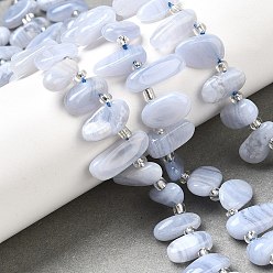 Синий Кружевый Агат Натуральный голубой кружевной агат с шипами бусины нити, Топ пробуренной, самородки, с бисером, 11~18x5~8x4~6 мм, отверстие : 1 мм, около 52~54 шт / нитка, 15.35~15.94 дюйм (39~40.5 см)