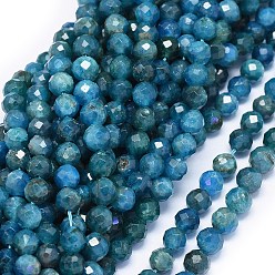 Apatite Natural Apatite Beads Strands, Faceted, Round, 5.5~6mm, Hole: 1mm, about 60pcs/strand, 15 inch(38.3cm)