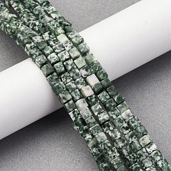 Камень с Зелеными Точками Натуральные зеленые пятна яшмовых нитей, кубические, 3.5~4.5x3.5~4.5x3.5~4.5 мм, отверстие : 1~1.2 мм, около 90~96 шт / нитка, 15.24~15.55'' (38.7~39.5 см)