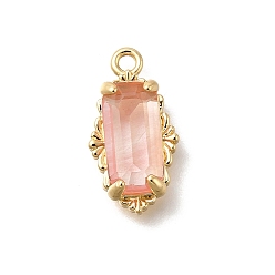 Темный Лосось Латунь стекло амулеты, прямоугольник амулеты, реальный 14 k позолоченный, граненые, темный лосось, 15x8x3.5 мм, отверстие : 1.4 мм