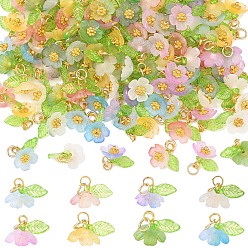 Mixed Color 40Pcs 8 Colors Frosted Acrylic Pendants, Flower Charms, with Brass Findings, Mixed Color, 15mm, 5pcs/color