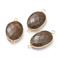 Бронзит Соединители звеньев из натурального бронзита, с латунной фурнитурой золотого цвета, граненые, овальные, 30.5~31x17x5.5 мм, отверстие : 2 мм