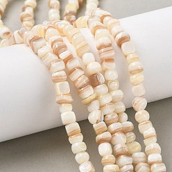 Белые Ракушки Натуральный белый стеклянные бусы нити, самородки, 5~7x4~6 мм, отверстие : 0.7~0.8 мм, около 74~76 шт / нитка, 14.45~14.61'' (36.7~37.1 см)